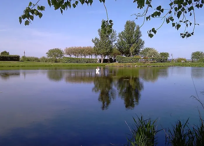 公寓 乐杜普勒克斯公寓 翁弗勒尔